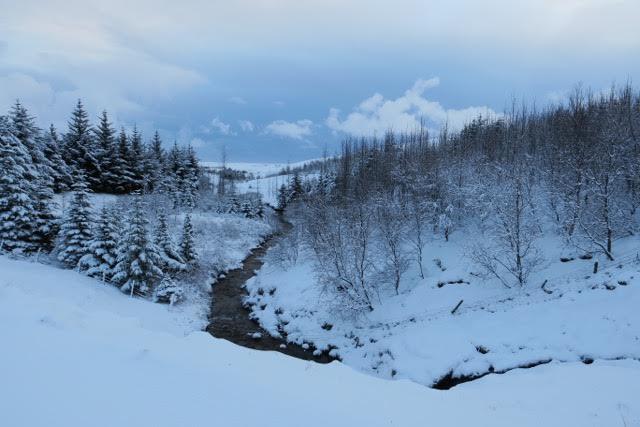 Hunkubakkar Guesthouse Kirkjubæjarklaustur Екстериор снимка